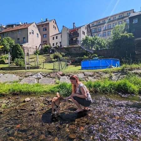 Urlaubstraum Mit Pool, Terrasse & Fluss Im Garten - Ut Leilighet Sebnitz Eksteriør bilde