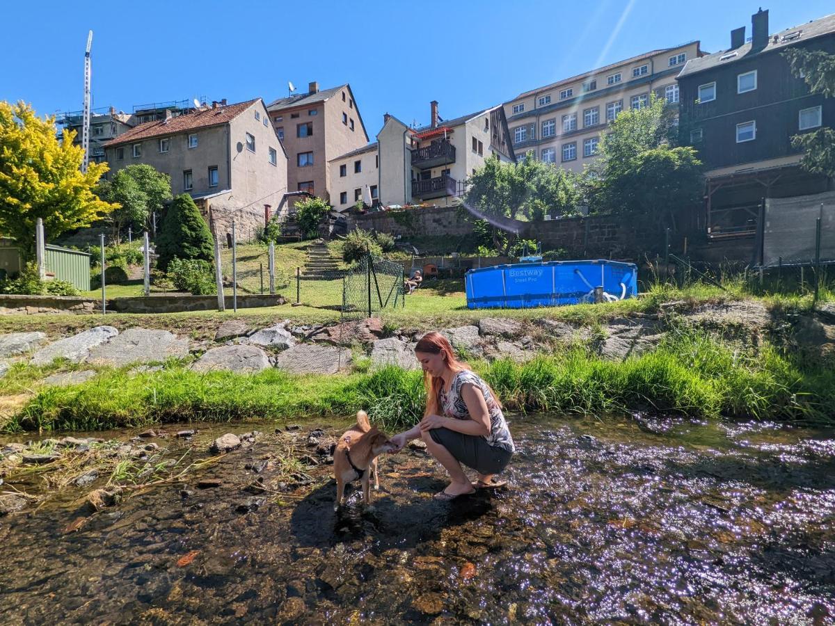 Urlaubstraum Mit Pool, Terrasse & Fluss Im Garten - Ut Leilighet Sebnitz Eksteriør bilde