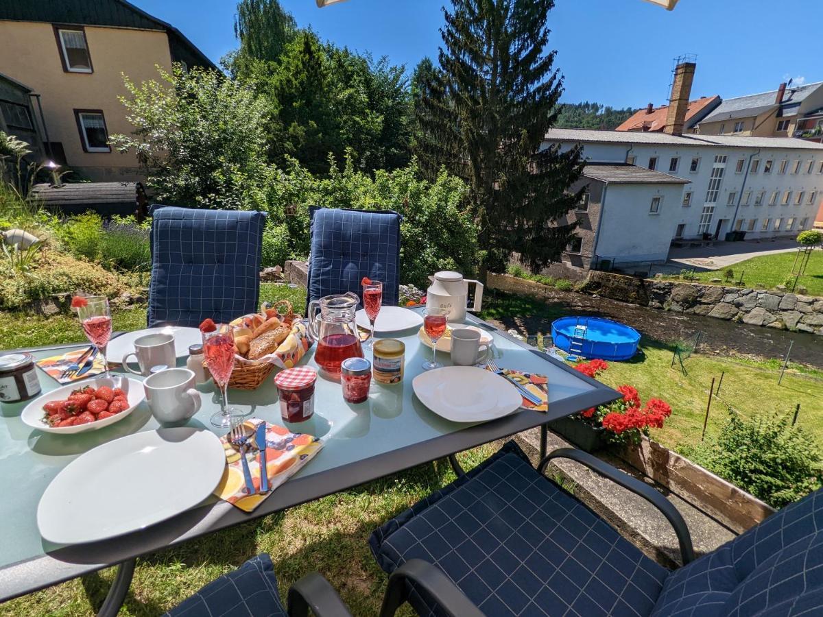 Urlaubstraum Mit Pool, Terrasse & Fluss Im Garten - Ut Leilighet Sebnitz Eksteriør bilde