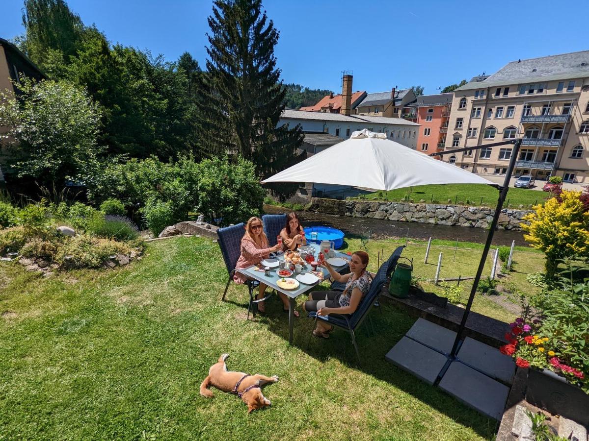 Urlaubstraum Mit Pool, Terrasse & Fluss Im Garten - Ut Leilighet Sebnitz Eksteriør bilde